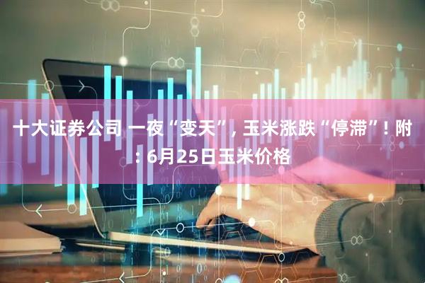 十大证券公司 一夜“变天”, 玉米涨跌“停滞”! 附: 6月25日玉米价格