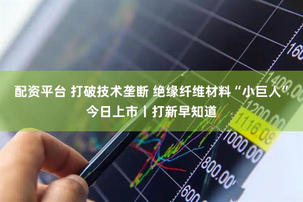 配资平台 打破技术垄断 绝缘纤维材料“小巨人”今日上市丨打新早知道