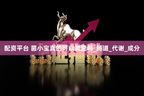 配资平台 菌小宝真的可以减肥吗_肠道_代谢_成分
