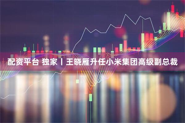 配资平台 独家丨王晓雁升任小米集团高级副总裁